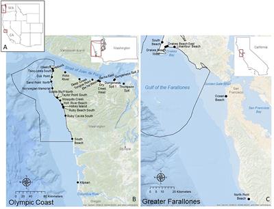 Temporal Trends and Potential Drivers of Stranded Marine Debris on Beaches Within Two US National Marine Sanctuaries Using Citizen Science Data